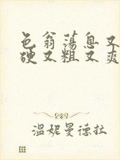 色翁荡息又大又硬又粗又爽