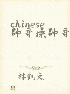 chinese帅哥操帅哥网站封面