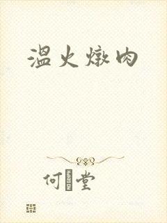 温火炖肉