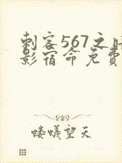 刺客567之暗影宿命免费观看