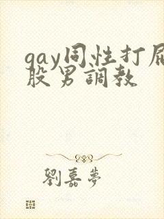 gay同性打屁股男调教