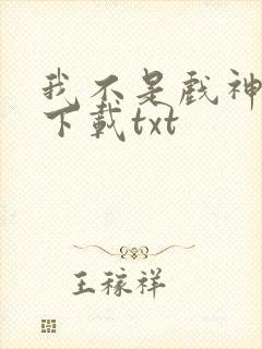 我不是戏神小说下载txt
