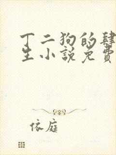 丁二狗的肆意人生小说免费阅读