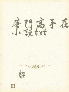 唐门高手在异世小说txt