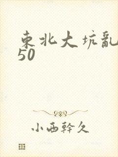 东北大坑乱1—50