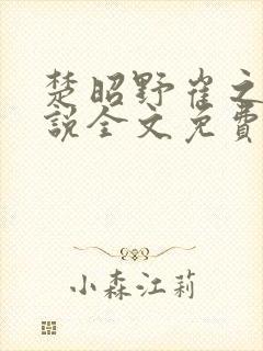 楚昭野崔之棠小说全文免费阅读