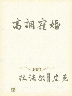 高调宠婚封面