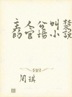 主人公叫楚东恒的官场小说封面