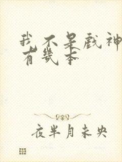 我不是戏神一共有几本