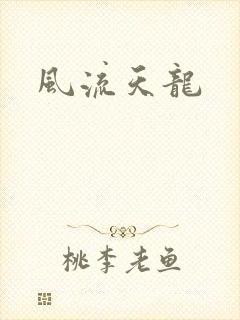 风流天龙封面