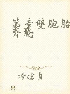 第章双胞胎姐妹齐飞