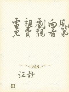 电视剧向风而行免费观看第11集