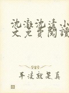 沈澈沈清小说全文免费阅读最新章节