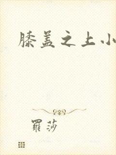 膝盖之上小说封面