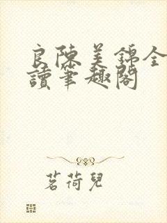 良陈美锦全文阅读笔趣阁