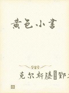 黄色小书