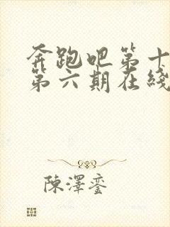 奔跑吧第十一季第六期在线免费观看