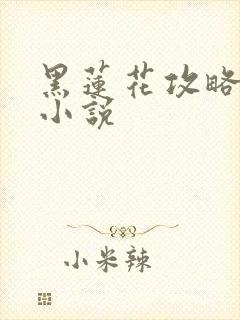 黑莲花攻略手册小说