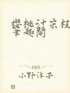 樱桃汁宋枝江野笔趣阁