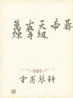 万古天帝聂天修炼等级