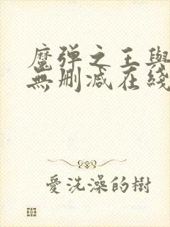 魔弹之王与战姬无删减在线观看