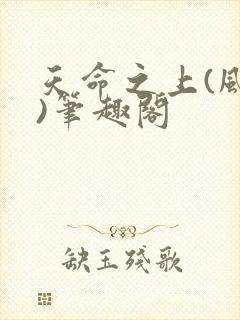 天命之上(风月)笔趣阁封面