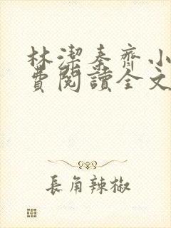 林洁秦齐小说免费阅读全文最新章节