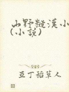 山野糙汉小娇娘(小说)