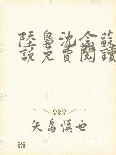 陆枭沈念苏晚小说免费阅读最新章节