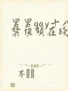 男男gay十八禁视频在线观看封面