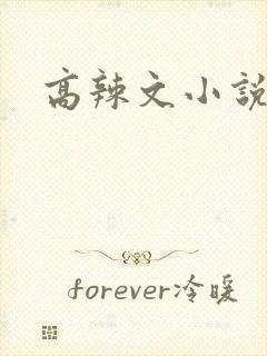 高辣文小说