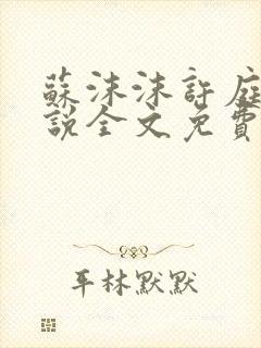 苏沫沫许庭川小说全文免费阅读封面