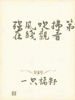 强风吹拂第一季在线观看