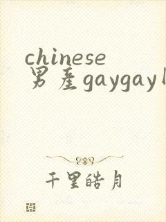 chinese男产gaygay网站