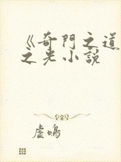 《奇门之道》道之光小说