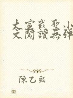 大宣武圣小说全文阅读无弹窗封面