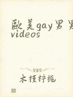 欧美gay男男videos