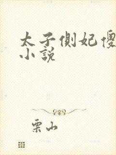 太子侧妃傻乎乎小说