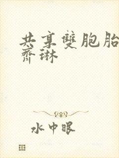 共享双胞胎齐娜齐琳