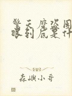 惊天魔盗团2天眼到底是什么