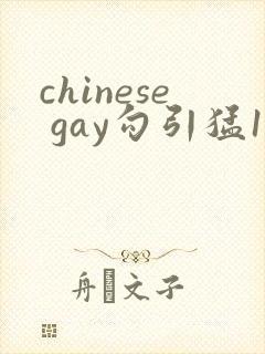 chinese gay勾引猛1video
