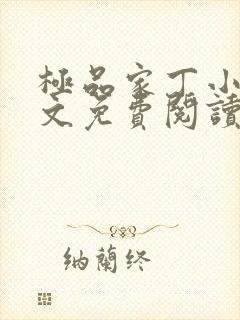 极品家丁小说全文免费阅读