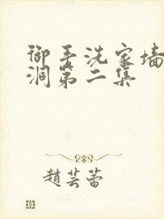 御手洗家墙壁破洞第二集