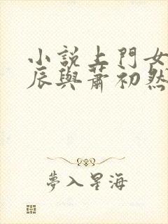 小说上门女婿叶辰与萧初然