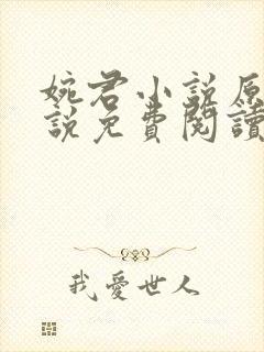 婉君小说原著小说免费阅读