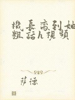 机长脔到她哭h粗话h视频封面