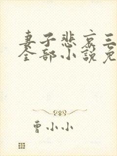 妻子悲哀三部曲全部小说免费阅读