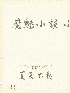 魔魅小说 小说封面