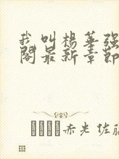 我叫杨华强笔趣阁最新章节无弹窗