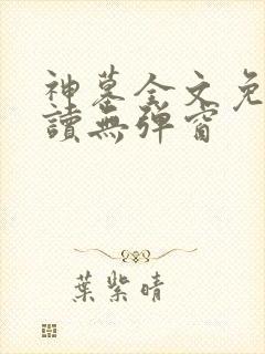神墓全文免费阅读无弹窗
